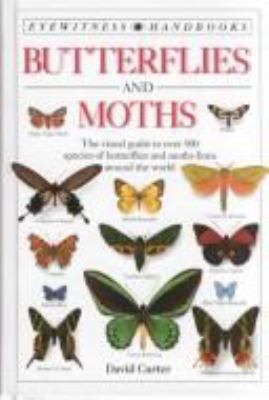 Butterflies and moths