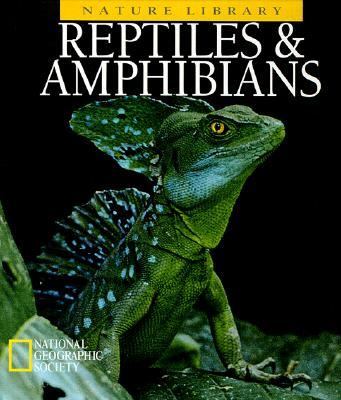 Reptiles & amphibians