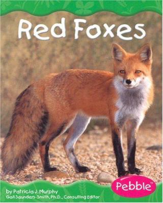 Red foxes