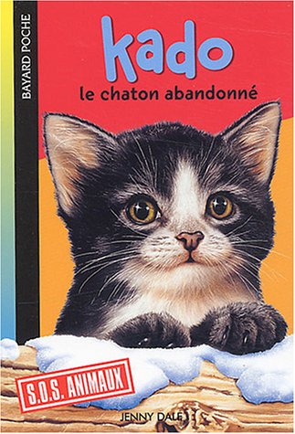 Kado, le chaton abandonné