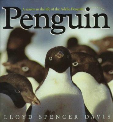 Penguin : a season in the life of the Adélie penguin