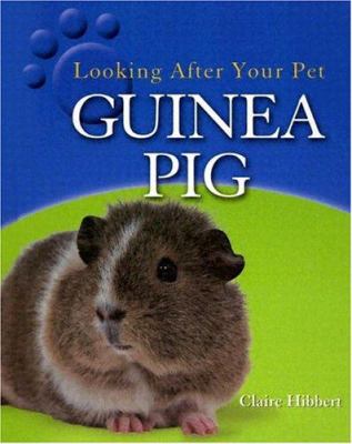 Guinea pig