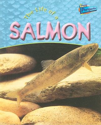 The life of a salmon