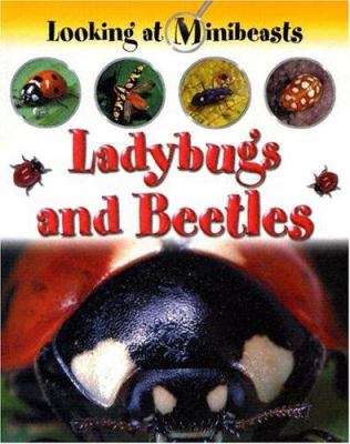 Ladybugs and beetles