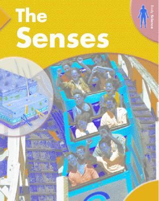 The senses