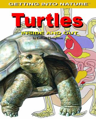 Turtles inside and out