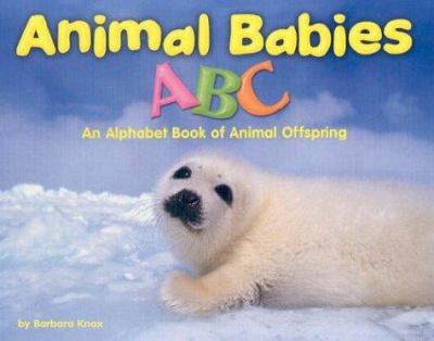 Animal babies ABC : an alphabet of animal offspring