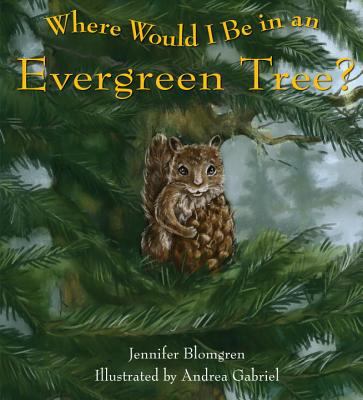 Where would I be in an evergreen tree?