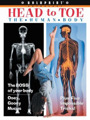 Head to toe : the human body
