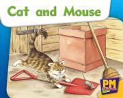 Cat and mouse