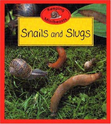 Snails and slugs