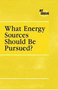 What energy sources should be pursued?