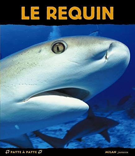 Le requin