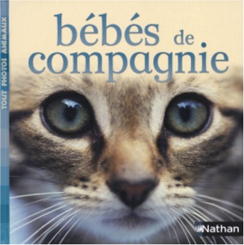 Bébés de compagnie