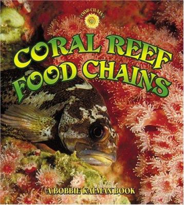 Coral reef food chains