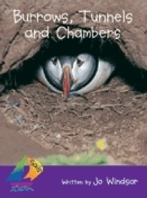 Burrows, tunnels and chambers