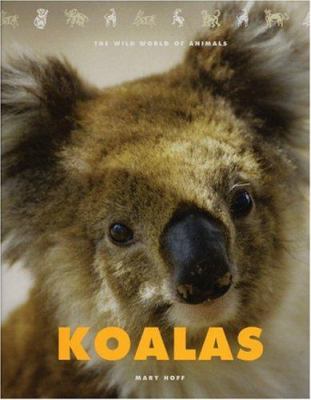 Koalas