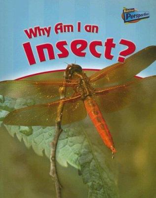 Why am I an insect?