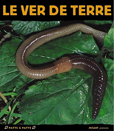 Le ver de terre