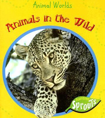 Animals in the wild