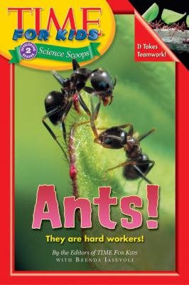 Ants!