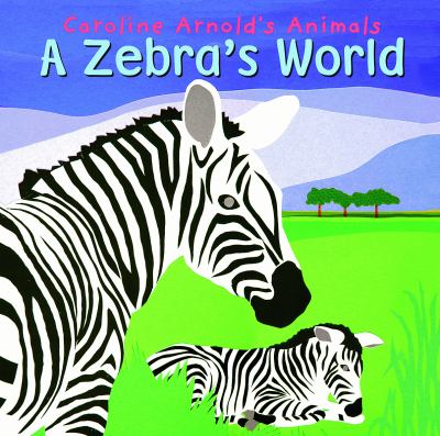 A zebra's world
