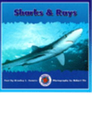 Sharks & rays