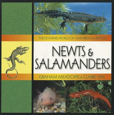 Newts & salamanders
