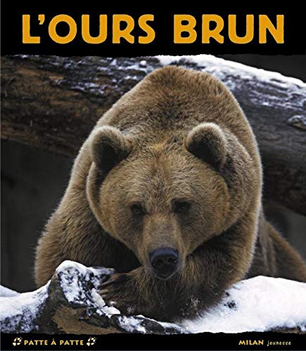 L'ours brun