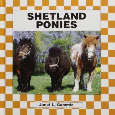 Shetland ponies