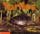 Turtles