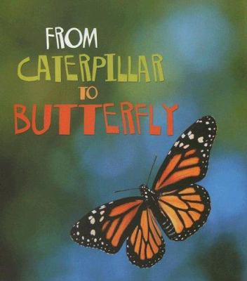 From caterpillar to butterfly