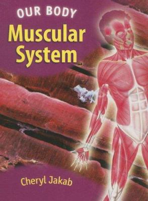 Muscular system