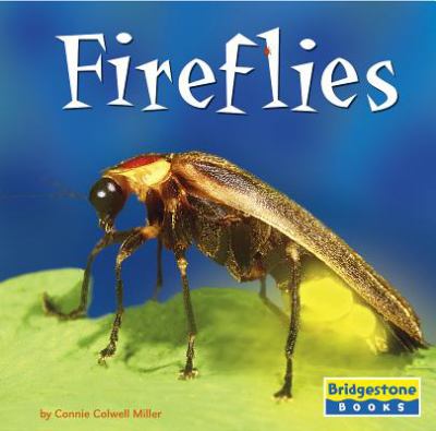 Fireflies