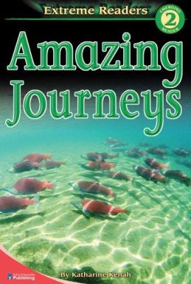 Amazing journeys