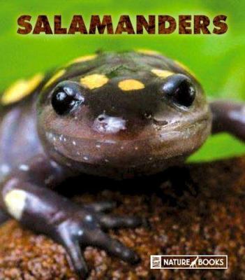 Salamanders