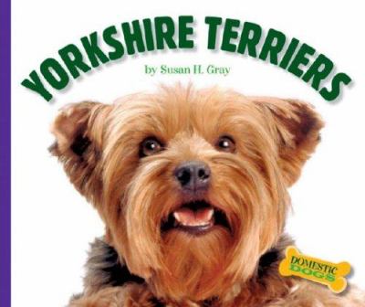 Yorkshire terriers