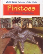 Pinktoes and other tarantulas.