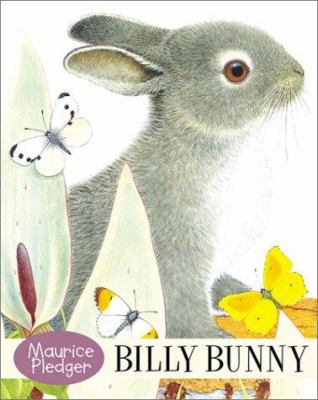 Billy Bunny