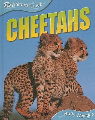 Cheetahs