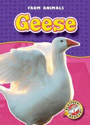 Geese