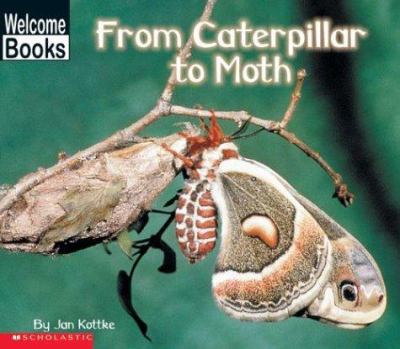 From caterpillar to moth