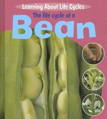 The life cycle of a bean