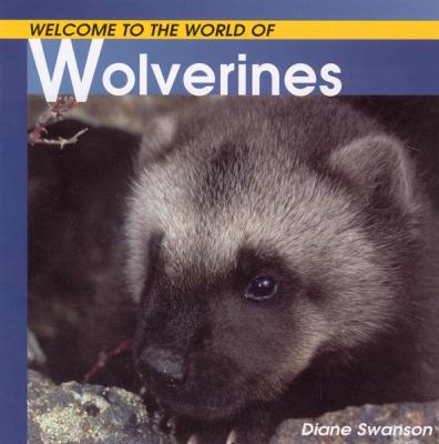 Welcome to the world of wolverines