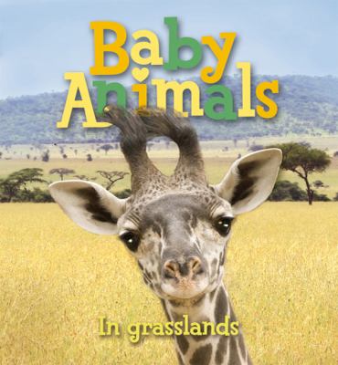 Baby animals in grasslands.