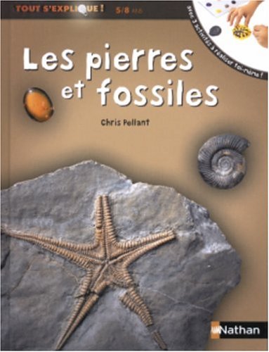 Les pierres et fossiles