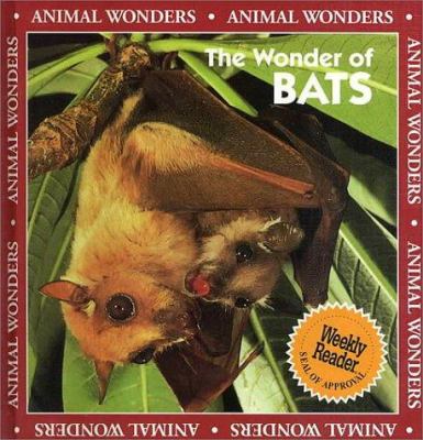 The wonder of bats