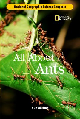 All about ants