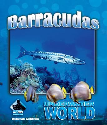 Barracuda