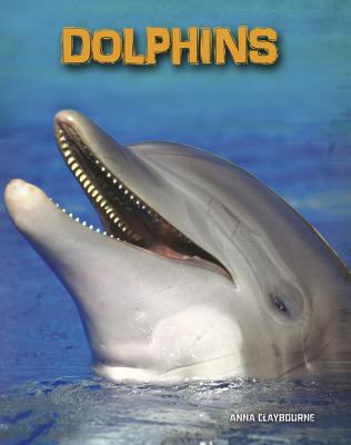 Dolphins